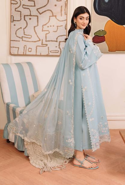 Mirha'2 - D05 Organza Pakistani Summer Dresses - Humdum - 3