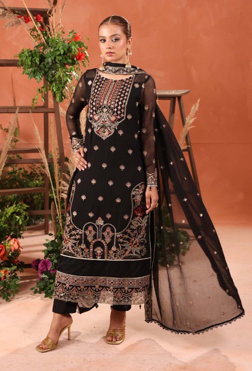 Heer-D05 Organza Pakistani Formal Dresses - Humdum - 1