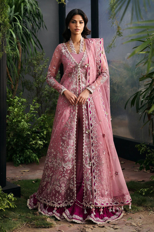Seraira Organza Pakistani Formal Dresses - Afrozeh - 1