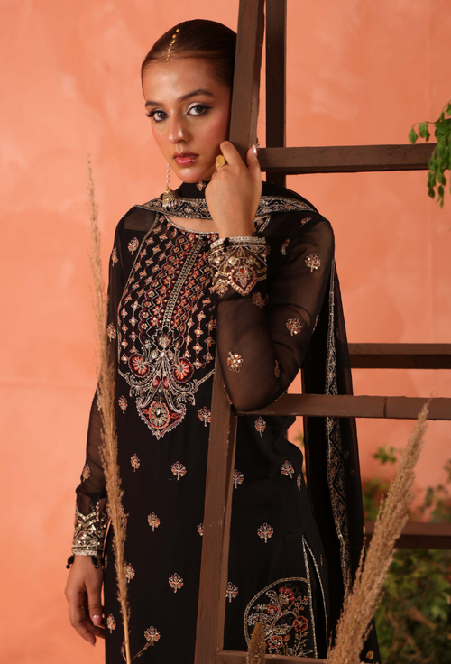 Heer-D05 Organza Pakistani Formal Dresses - Humdum - 2