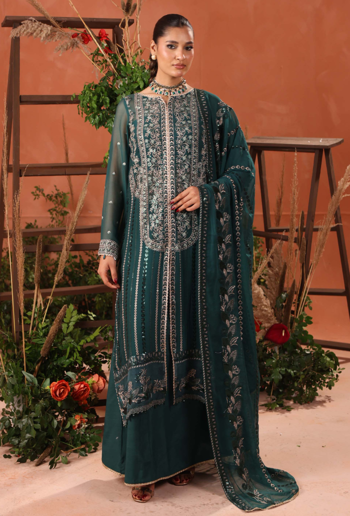 Heer-D03 Organza Pakistani Formal Dresses - Humdum - 1