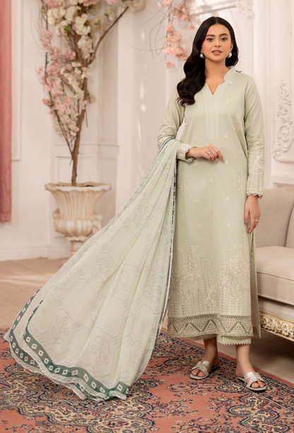 Inara-D10 Organza Pakistani Summer Dresses - Humdum - 2