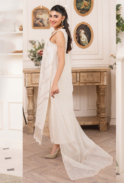 Nyra - D06 Chiffon Pakistani Summer Dresses - Humdum - 2