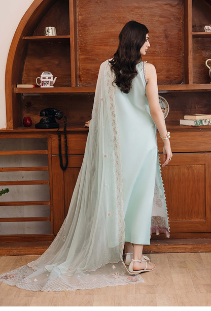Mirha'2 - D04 Organza Pakistani Summer Dresses - Humdum - 4