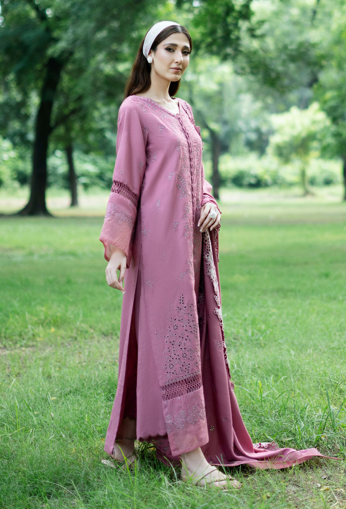 Zephyr - D04 Premium Fabric Pakistani Winter Dresses - Humdum - 2