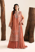 Avela Raw Silk Pakistani Formal Dresses - Akbar Aslam - 1