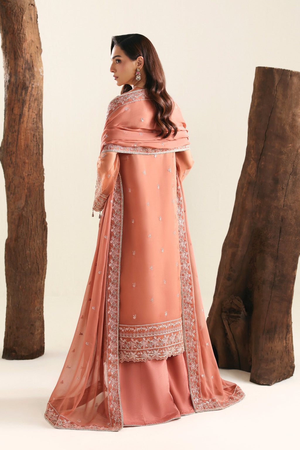 Avela Raw Silk Pakistani Formal Dresses - Akbar Aslam - 5
