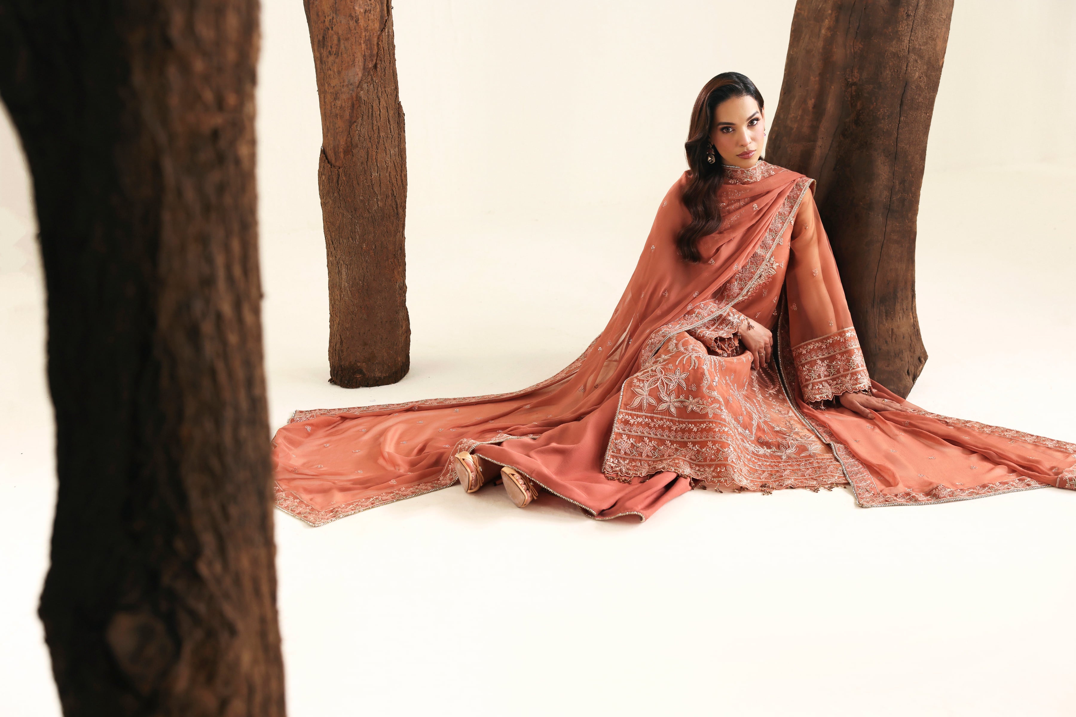 Avela Raw Silk Pakistani Formal Dresses - Akbar Aslam - 6