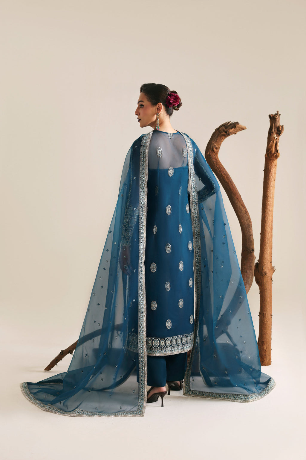 Petra Raw Silk Pakistani Formal Dresses - Akbar Aslam - 6