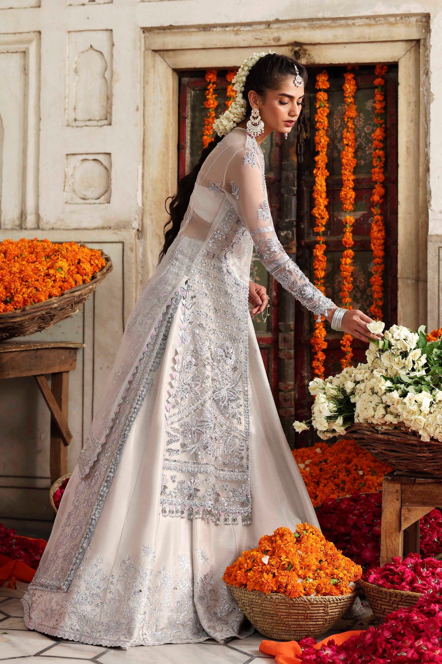 Safina