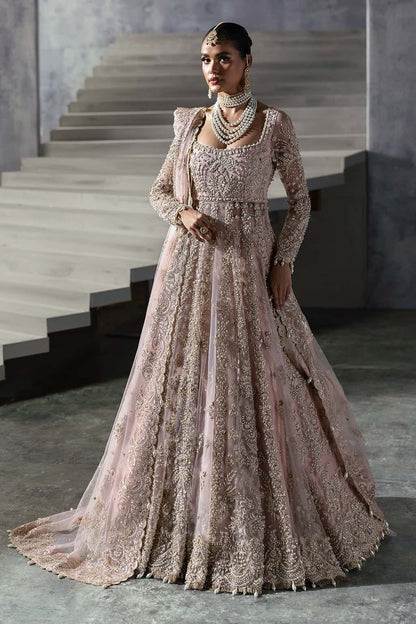 Sofia Raw Silk Pakistani Formal Dresses - Afrozeh - 3