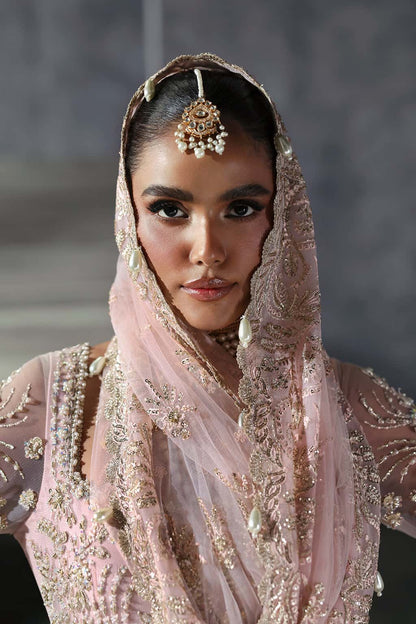 Sofia Raw Silk Pakistani Formal Dresses - Afrozeh - 10