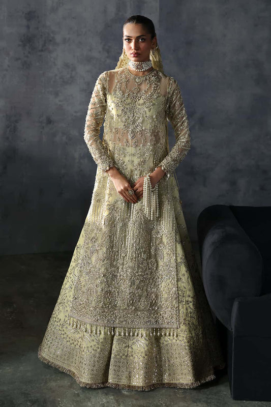 Orazio Raw Silk Pakistani Formal Dresses - Afrozeh - 1