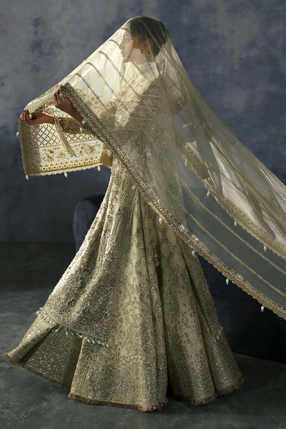 Orazio Raw Silk Pakistani Formal Dresses - Afrozeh - 5