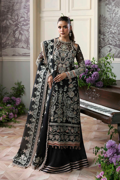 Nocturne Embroidered Pakistani Dress
