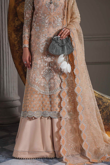 Aabroza Raw Silk Pakistani Formal Dresses
