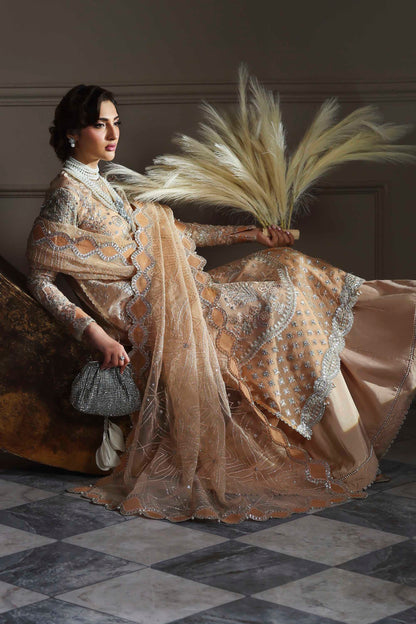 Aabroza Raw Silk Pakistani Formal Dresses