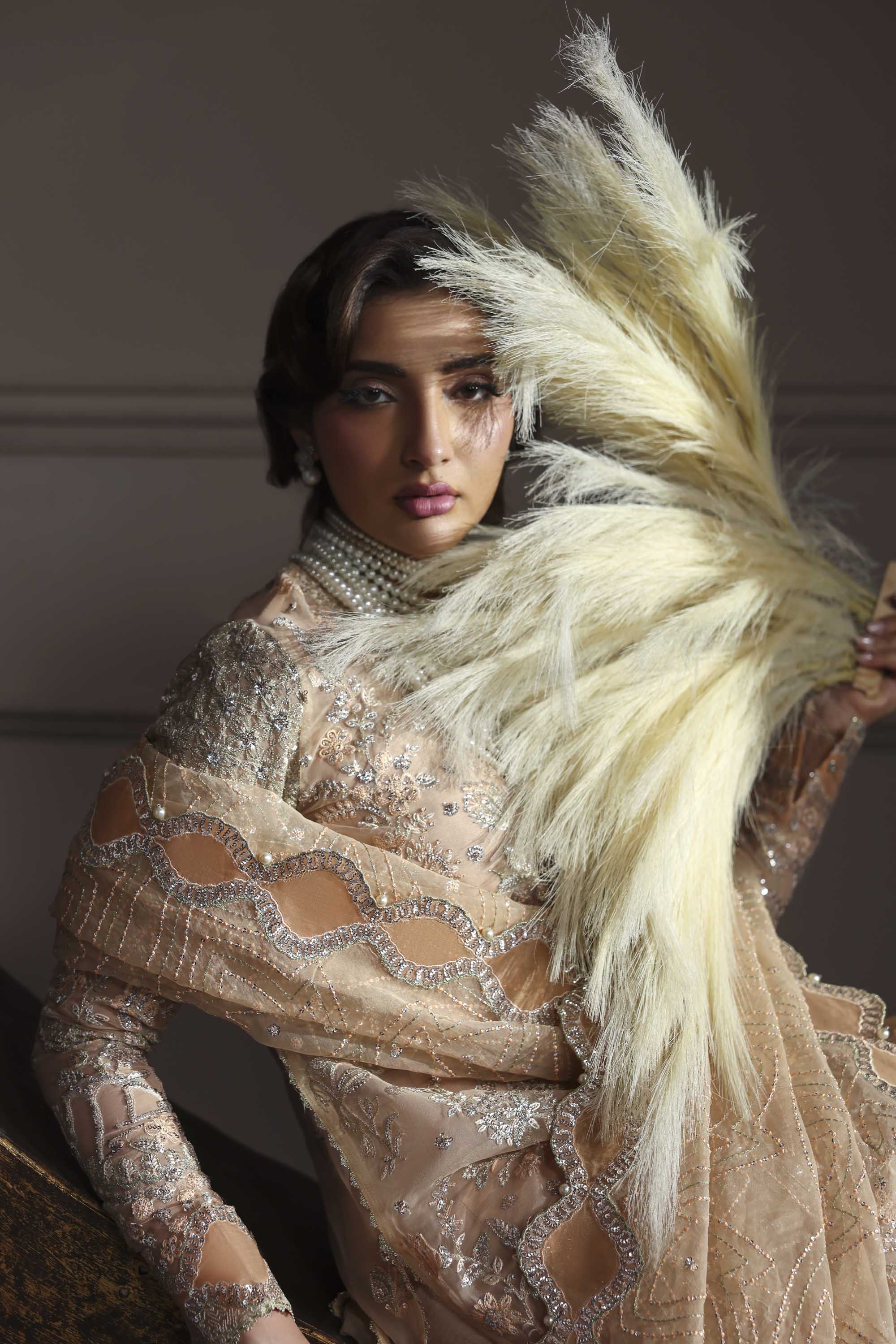 Aabroza Raw Silk Pakistani Formal Dresses