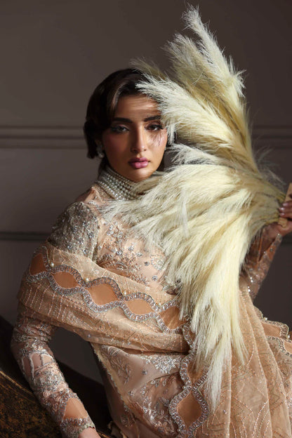 Aabroza Raw Silk Pakistani Formal Dresses