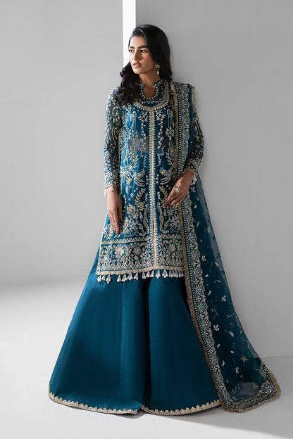 Twilight Raw Silk Pakistani Formal Dresses