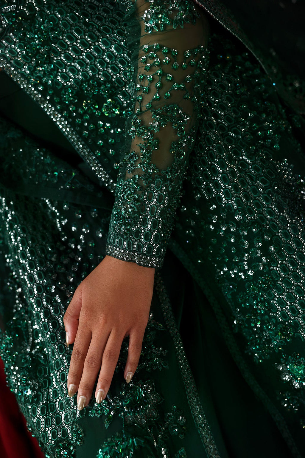 Hierophant Premium Fabric Pakistani Formal Dresses - Afrozeh - 5