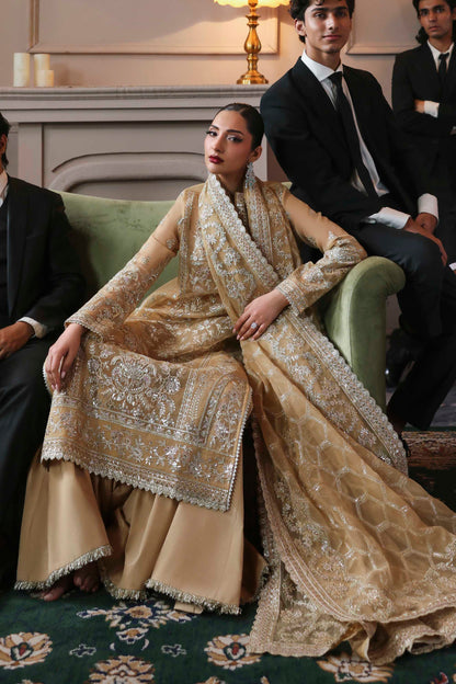 Tajmeen Raw Silk Pakistani Formal Dresses - Akbar Aslam - 6