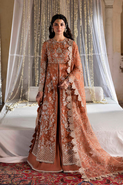 Meherun Raw Silk Pakistani Formal Dresses