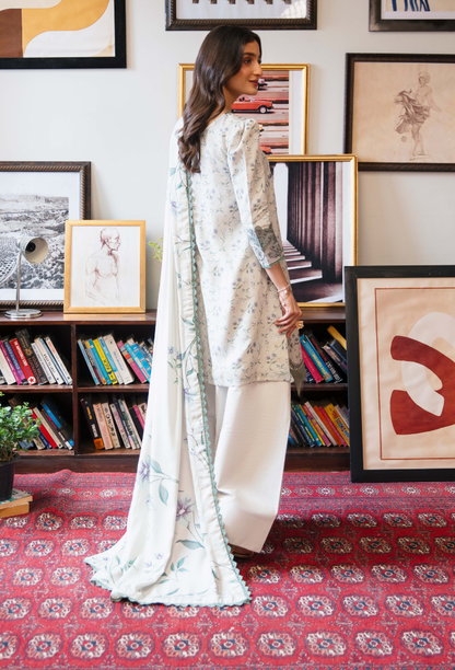 LAIBA - D02 Organza Pakistani Winter Dresses - Humdum - 2