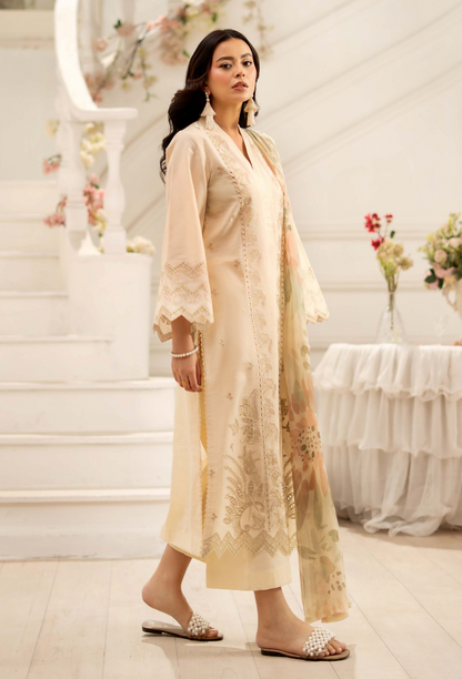 Inara-D02 Organza Pakistani Summer Dresses - Humdum - 2