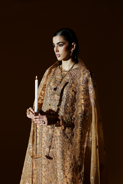 EMBER Pakistani Designer Dress
