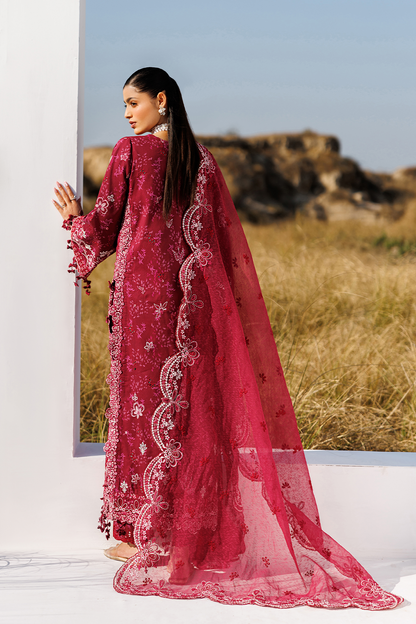 RADIANT ROSE Luxury Pakistani Fashion