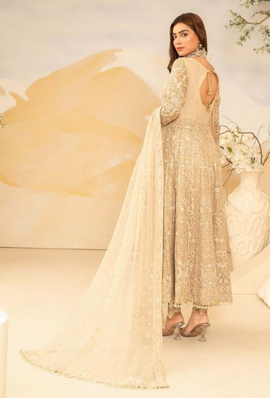 HOC - D02 Raw Silk Pakistani Formal Dresses - Humdum - 2
