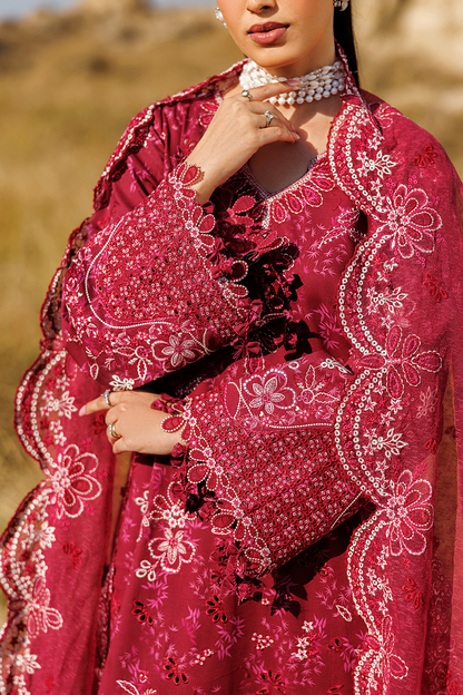 RADIANT ROSE Luxury Pakistani Fashion