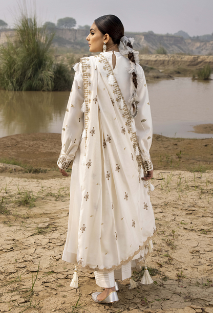 Sierra-D01 Premium Fabric Pakistani Winter Dresses - Humdum - 3