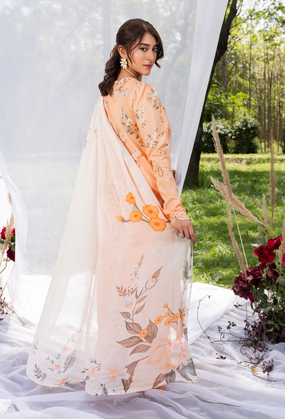 Koel-D02 Chiffon Pakistani Summer Dresses - Humdum - 2