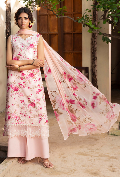 Zaiba - D07 Chiffon Pakistani Winter Dresses - Humdum - 3