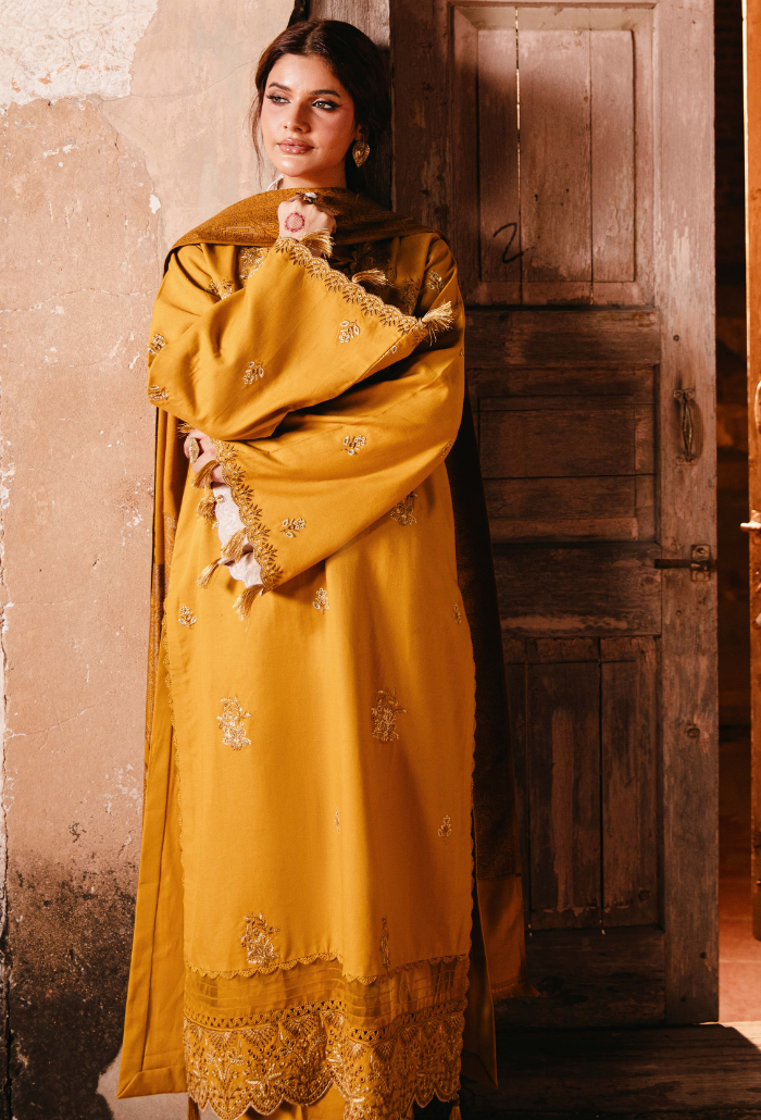 ONORA CHAPTER 2 - D04 Organza Pakistani Winter Dresses - Humdum - 4