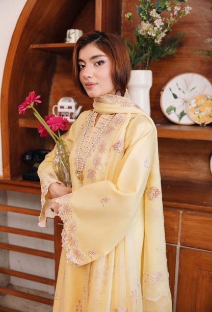 Mirha'2 - D03 Organza Pakistani Summer Dresses - Humdum - 4