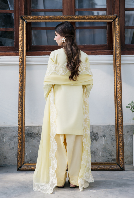 Meraki'2 - D02 Organza Pakistani Summer Dresses - Humdum - 2
