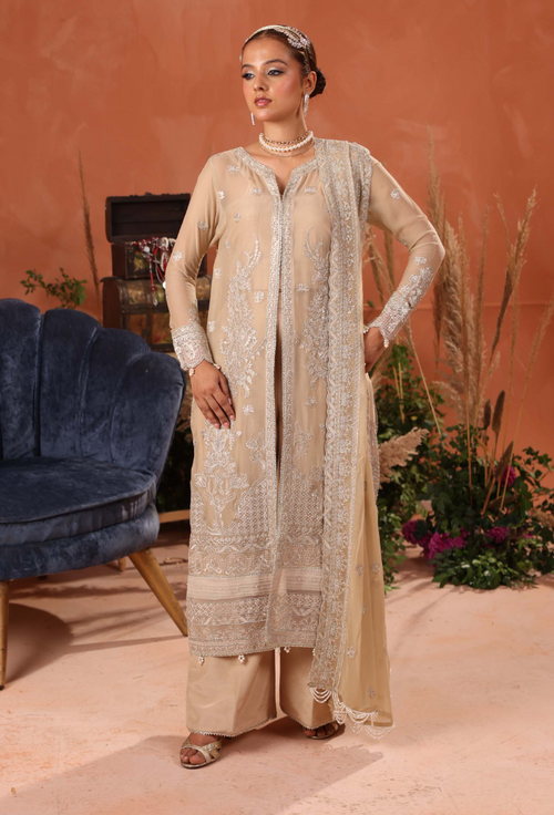 Heer-D02 Organza Pakistani Formal Dresses - Humdum - 2