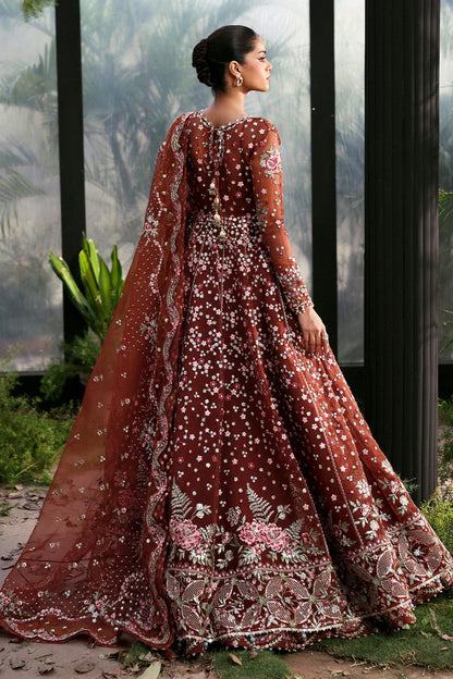 Shale Organza Pakistani Formal Dresses - Afrozeh - 2