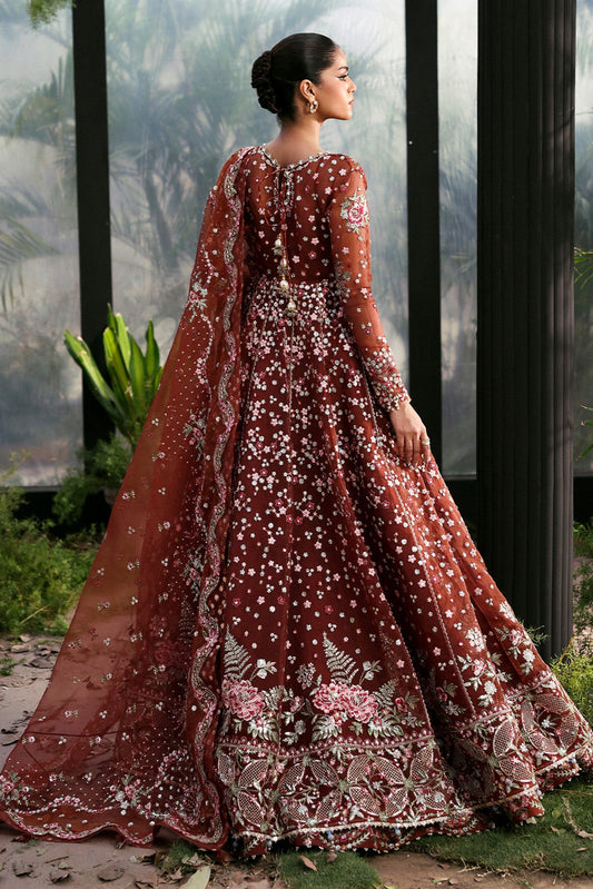 Shale Organza Pakistani Formal Dresses - Afrozeh - 2