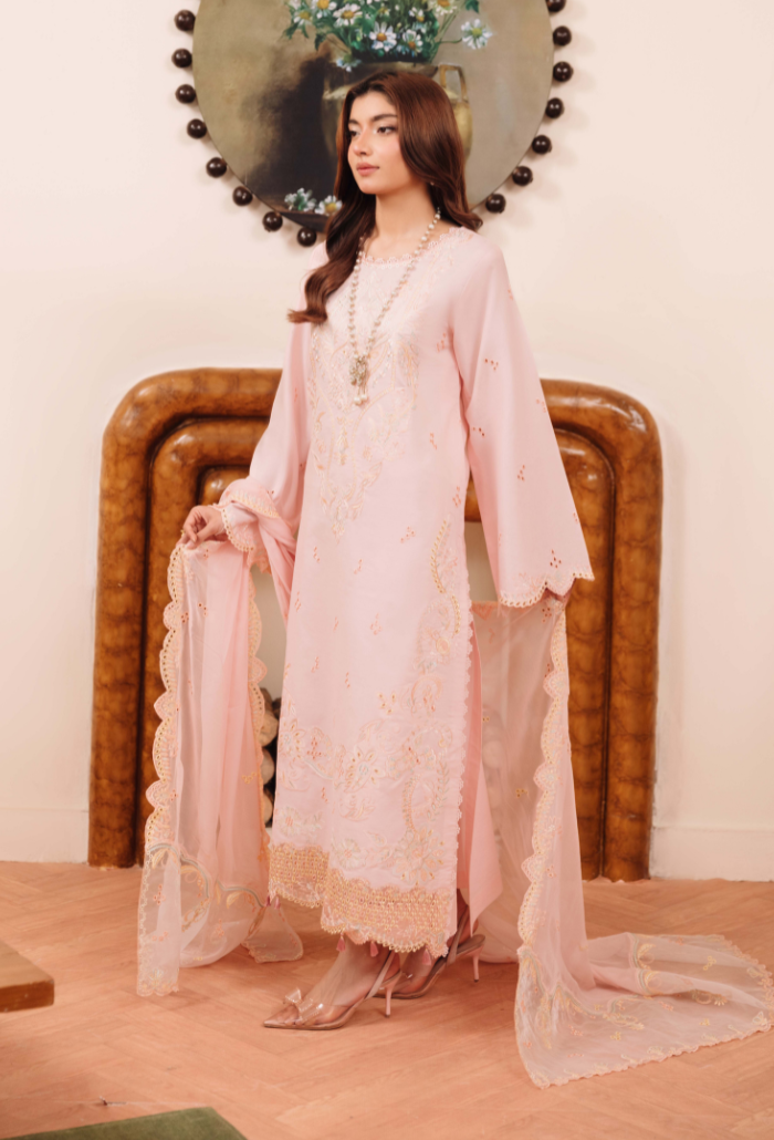 Mirha'2 - D02 Organza Pakistani Summer Dresses - Humdum - 3