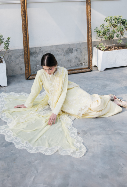 Meraki'2 - D02 Organza Pakistani Summer Dresses - Humdum - 4