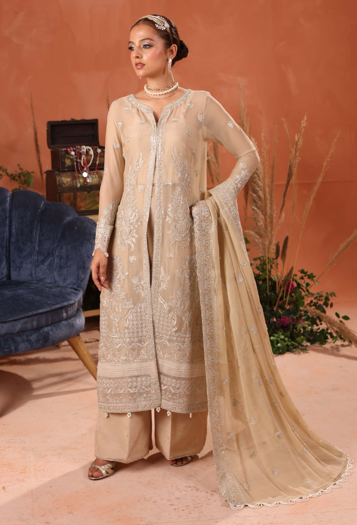 Heer-D02 Organza Pakistani Formal Dresses - Humdum - 1
