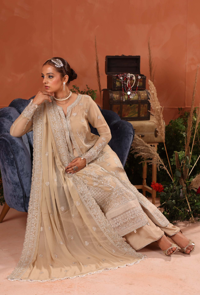 Heer-D02 Organza Pakistani Formal Dresses - Humdum - 4