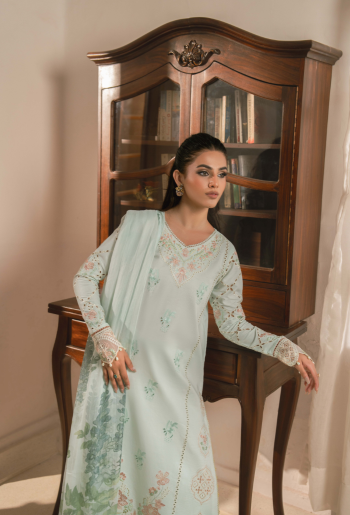 Mehrmaa - D09 Sabeen Organza Pakistani Summer Dresses - Humdum - 4