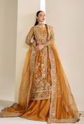VERA Raw Silk Pakistani Formal Dresses
