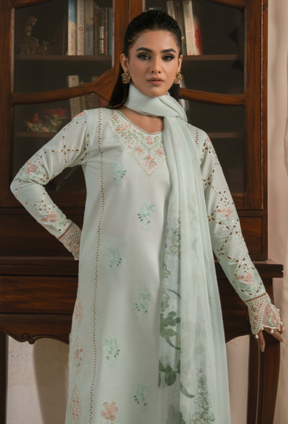 Mehrmaa - D09 Sabeen Organza Pakistani Summer Dresses - Humdum - 2