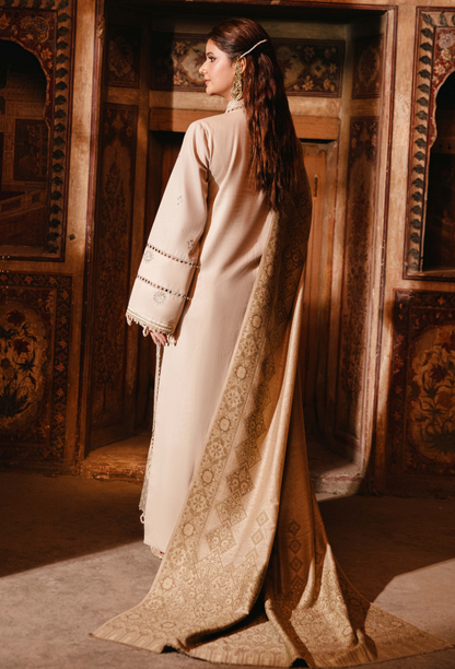 ONORA CHAPTER 2 - D02 Organza Pakistani Winter Dresses - Humdum - 3